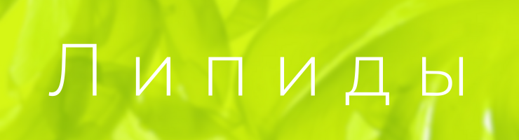 Липиды