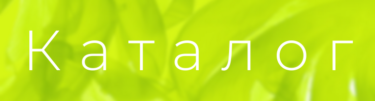 Каталог