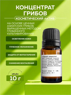 Концентрат грибов, 10г 11619 - фото 1933