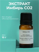 Имбиря экстракт СО2, 10г 2042520774649