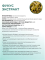 Фукус экстракт, 10г 2041394751916 - фото 284